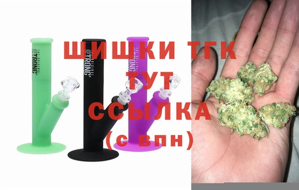 амф Аркадак